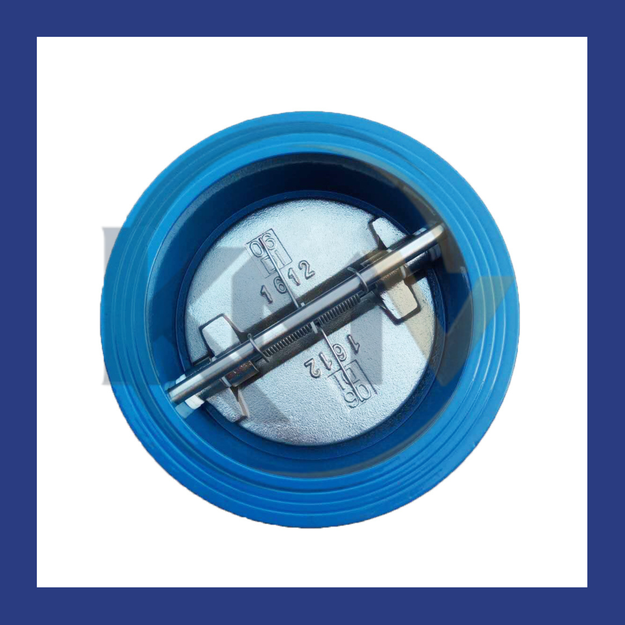Dual Plate Check Valve